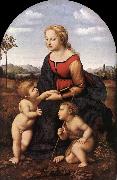 RAFFAELLO Sanzio The Virgin and Child with Saint John the Baptist (La Belle Jardinire)  af oil painting reproduction